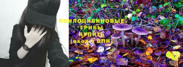 дживик Алзамай