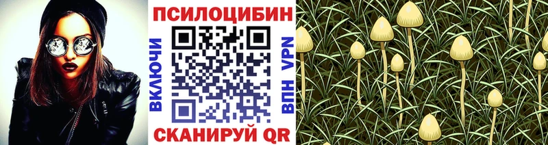 где найти наркотики  mega tor  Галлюциногенные грибы Magic Shrooms  Чердынь 
